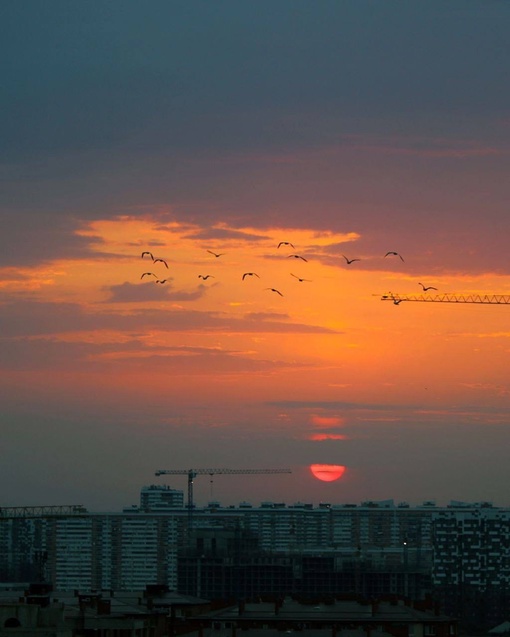 Мягкий осенний рассвет!
Доброе..