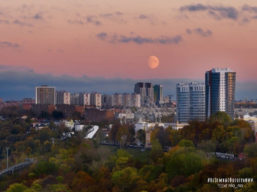 "Голубая луна" 🌚
..