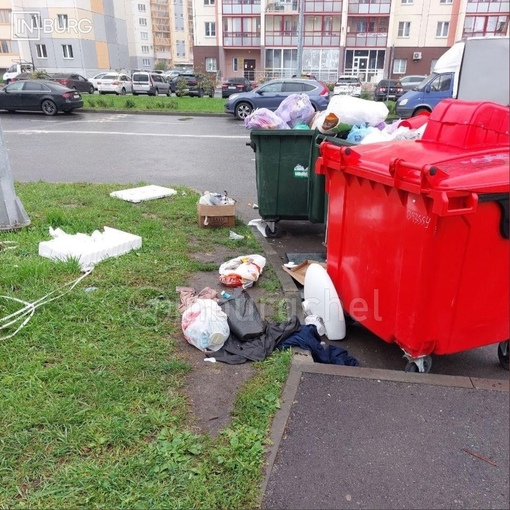 Жители дома на улице Александра Шмакова, 12 жалуются на мусор и беспорядок в микрорайоне Парковый  Со слов..