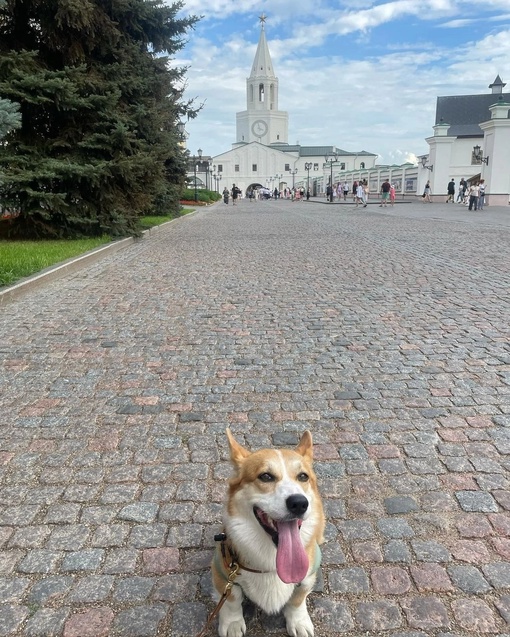 Доброе воскресное утро, Казань. Отличного дня..