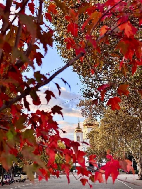 Осенний Краснодар прекрасен! 🍁🍂❤️  Фото:..