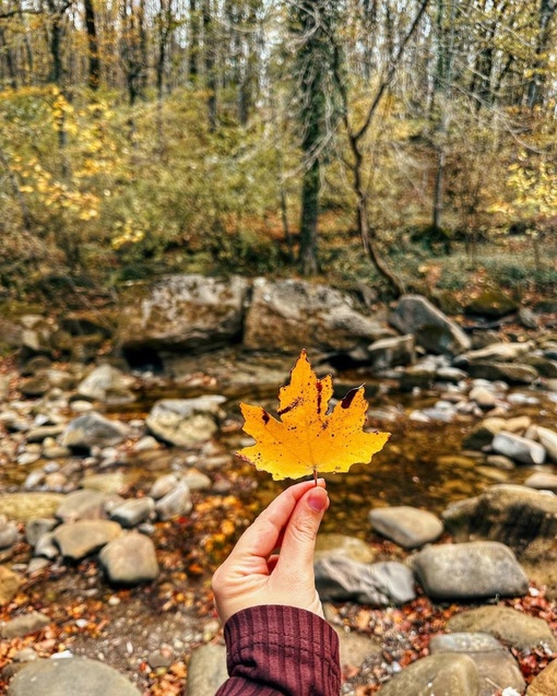 Великолепные виды с Планческих скал🍁  Пожалуй, одно из лучших мест для прогулки недалеко от..