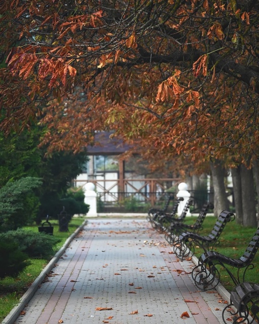 Нереально красивое осеннее утро в Абрау-Дюрсо😍🍂  Легкая дымка, озеро словно зеркало, а от ярко красных..