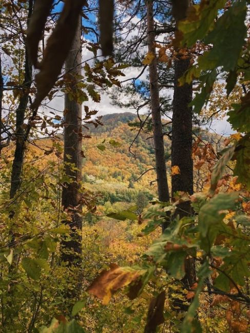 Осень на Красных скалах 🍂🍃  📍 Северский..