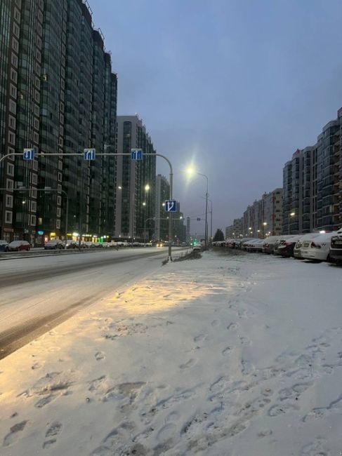 😍Ночной снегопад обрадовал петербуржцев сегодня утром..