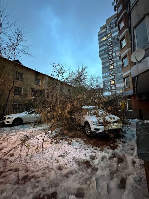 🗣Вчера в городе выпало почти 80% от месячной нормы осадков. 
А еще упало более 500 деревьев. Движению они..