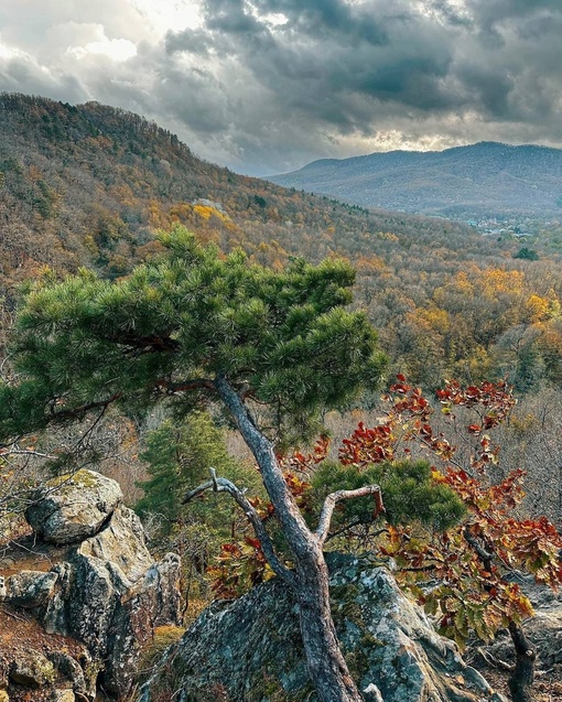 Великолепные виды с Планческих скал🍁  Пожалуй, одно из лучших мест для прогулки недалеко от..