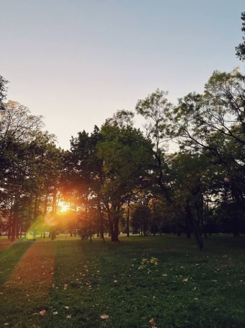 Нежная осень на Солнечном острове 🍂  от подписчицы..