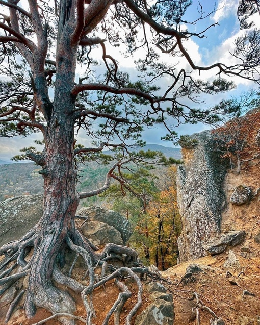 Великолепные виды с Планческих скал🍁  Пожалуй, одно из лучших мест для прогулки недалеко от..