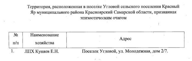 В 42 километрах от Самары ввели карантин из-за неизлечимого заболевания  Под ограничения попали еще три..