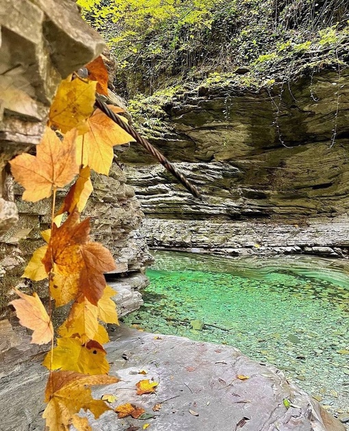 🍂Осень в одном из самых красивых мест Краснодарского края  📍Каньон реки Бешенка, Туапсинский..