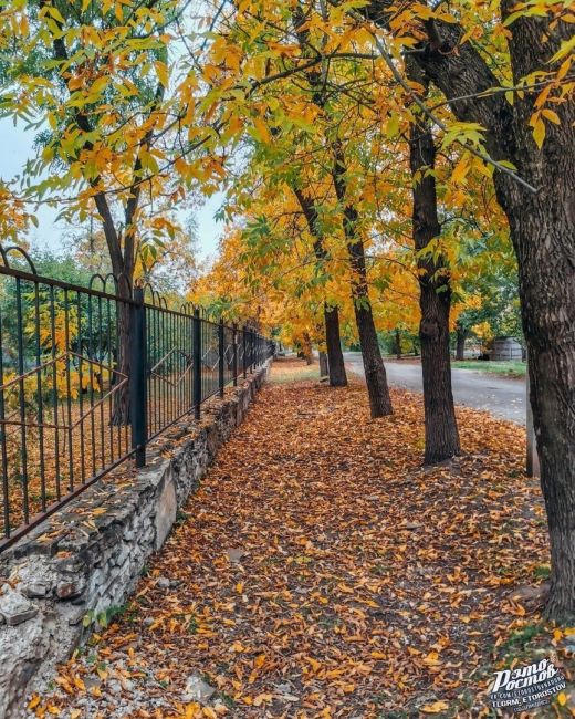 Красота осени в Багаевской..