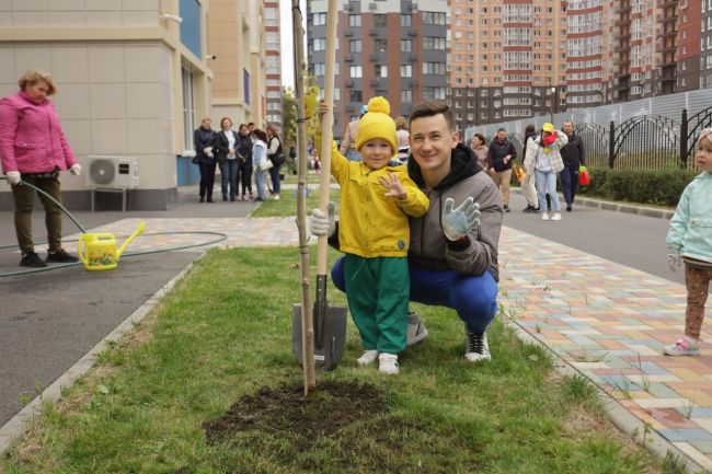 В школе и детских садах «Вересаево» (https://vk.com/mkrveresaevo) высадили платановые аллеи🍁  В рамках общегородского..