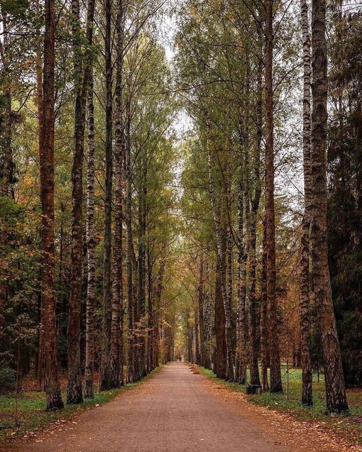 Павловский парк..