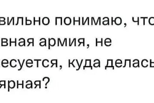 Бастрыкин требует отправить на СВО «новых россиян»  Глава СК Бастрыкин угрожает лишением российского..