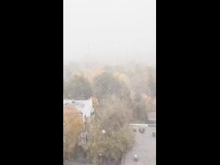 ❄️Погодка сегодня...  Москву засыпает..