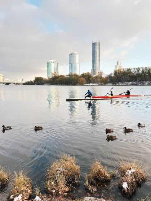 Живописный парк УрГУПС поздней осенью🍁❄
За фото спасибо нашему..