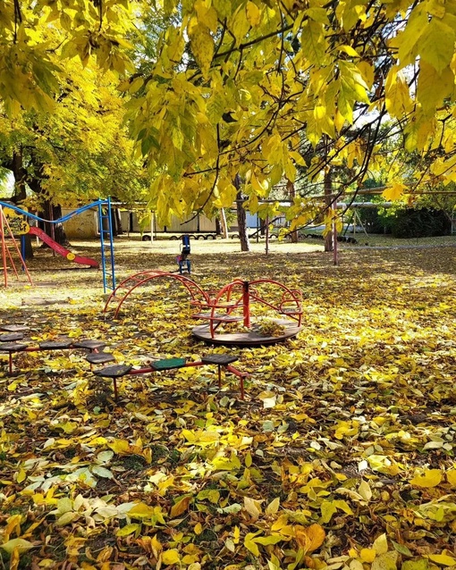 Октябрь на улице Стасова 🌞🍁🌞
Автор фото:..