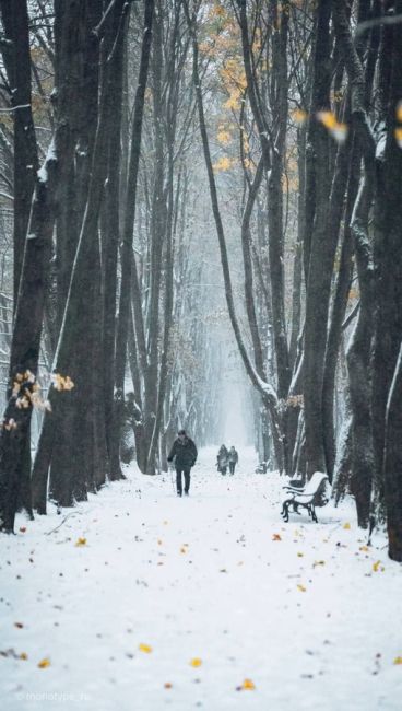 Белоснежные пейзажи из..