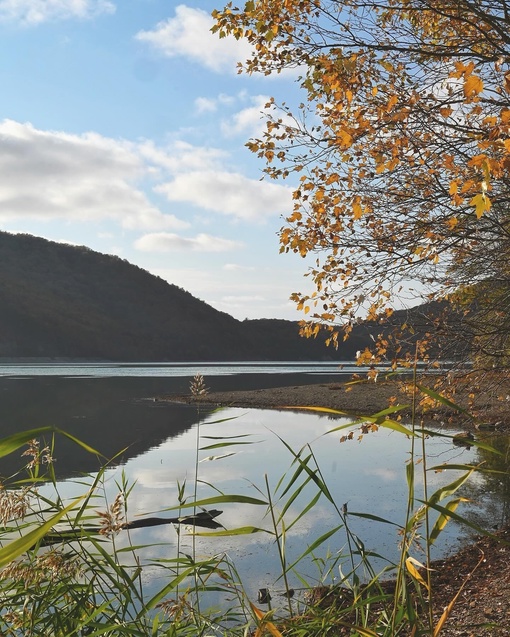 Нереально красивое осеннее утро в Абрау-Дюрсо😍🍂  Легкая дымка, озеро словно зеркало, а от ярко красных..