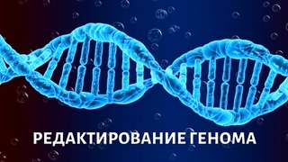 В правительстве поведали о проценте покалеченных на СВО  Ампутировать конечности пришлось 54% участников..