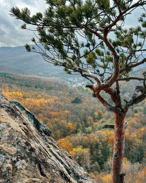 Великолепные виды с Планческих скал🍁  Пожалуй, одно из лучших мест для прогулки недалеко от..