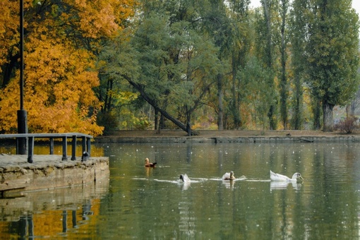 🍂 Осенняя атмосфера в «Городском саду»  Краснодара.  Вот и подкралась незаметно золотая осень. Ещё..