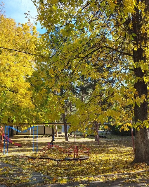 Октябрь на улице Стасова 🌞🍁🌞
Автор фото:..