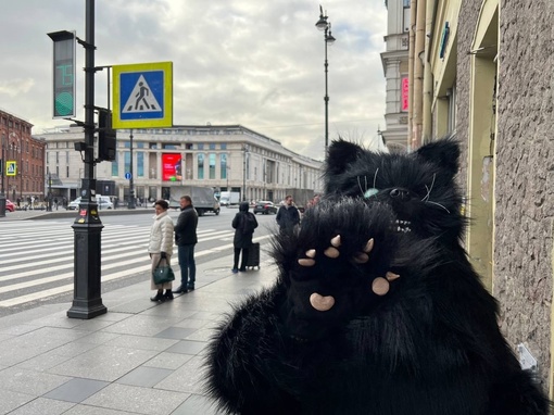 Кот Бегемот уже прибыл в Петербург. Прогулялся по Невскому и окрестностям, пообщался с местным..