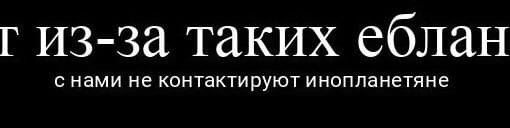 В правительстве поведали о проценте покалеченных на СВО  Ампутировать конечности пришлось 54% участников..