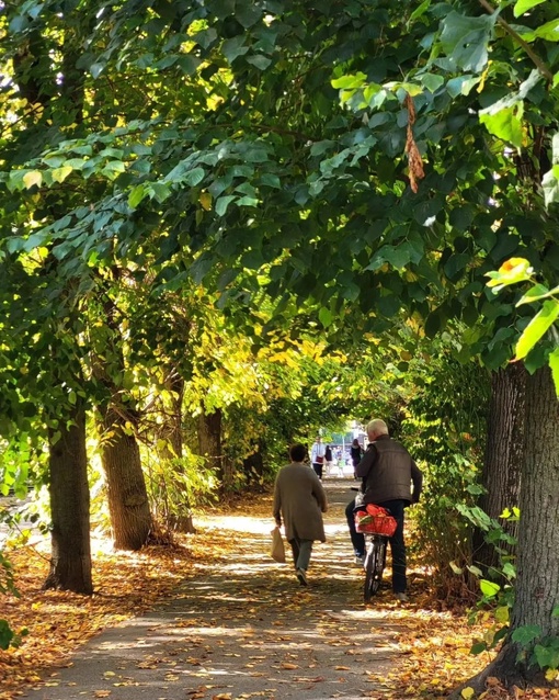 Октябрь на улице Стасова 🌞🍁🌞
Автор фото:..