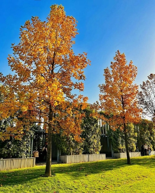 Наш по-осеннему солнечный парк «Краснодар»🍁  Фото: Федор..