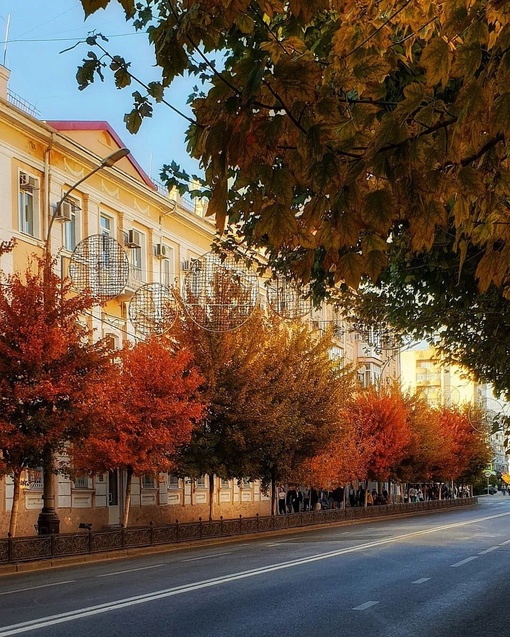 🍁Осенний Краснодар! 
Фото: Виктория..