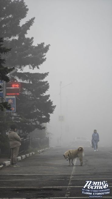 Октябрьский туман в Новочеркасске..