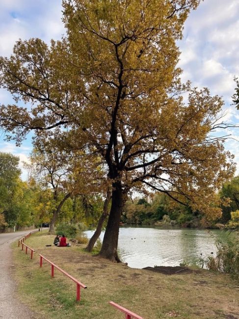 Нежная осень на Солнечном острове 🍂  от подписчицы..