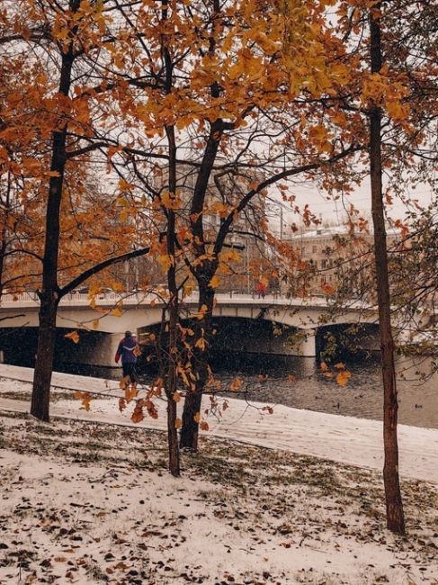 Снежное утро в Москве  Фото Инника..