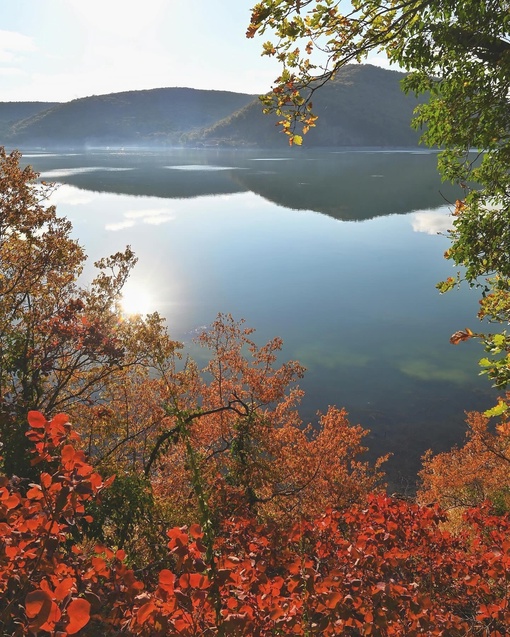 Нереально красивое осеннее утро в Абрау-Дюрсо😍🍂  Легкая дымка, озеро словно зеркало, а от ярко красных..