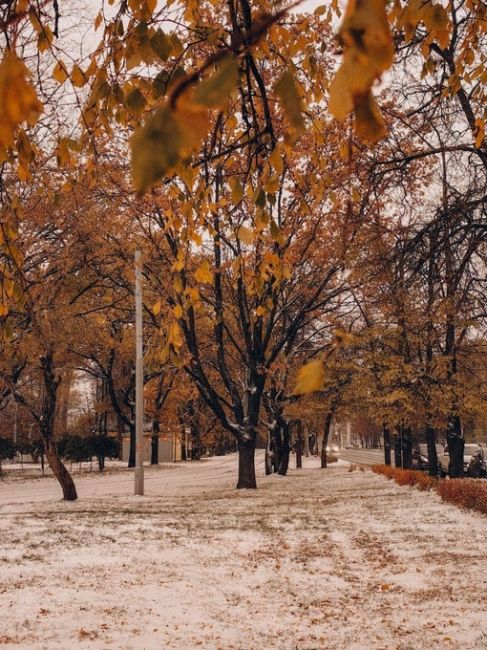 Снежное утро в Москве  Фото Инника..