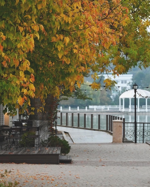 Нереально красивое осеннее утро в Абрау-Дюрсо😍🍂  Легкая дымка, озеро словно зеркало, а от ярко красных..