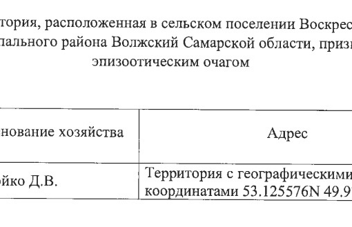 Три смертельных очага: в 18 км от Самары нашли опасное заболевание  Узнали, чем оно опасно для человека  В двух..