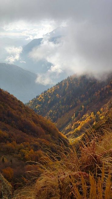 Осенний Бзерпинский карниз 🍁  📸 ..