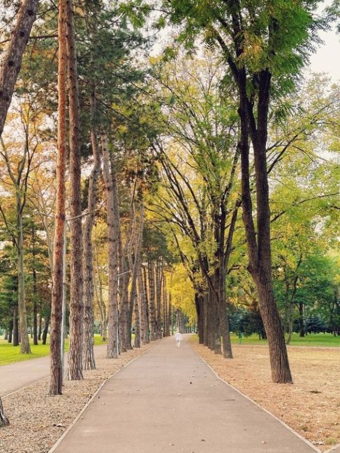 Нежная осень на Солнечном острове 🍂  от подписчицы..