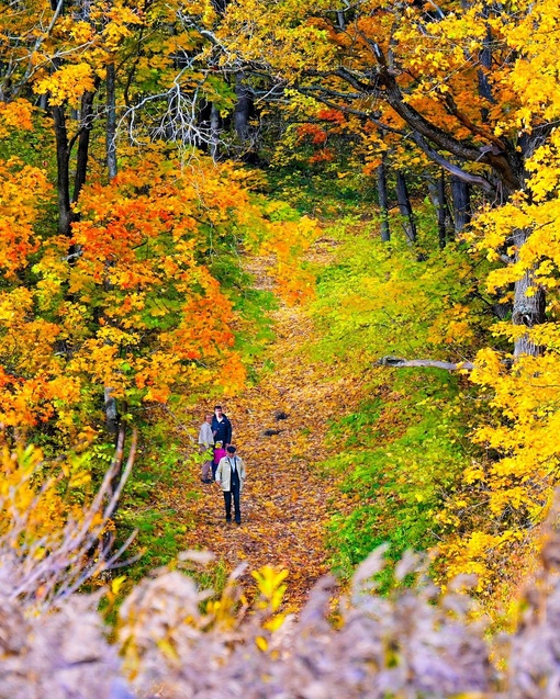 Осенний пожар 📸🔥🍁
#Щелковскийхутор ..