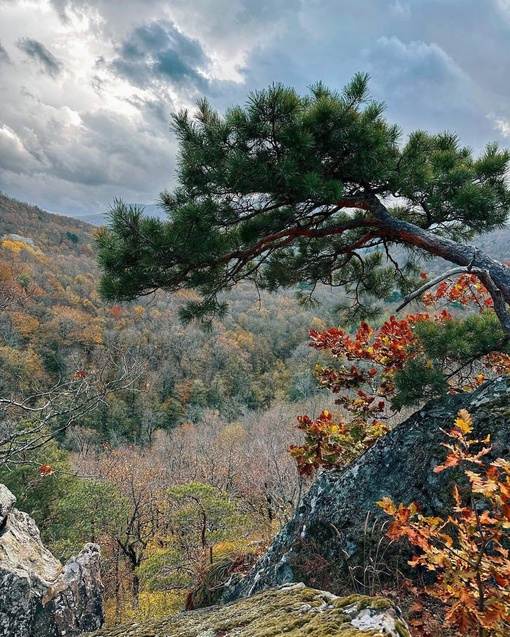 Великолепные виды с Планческих скал🍁  Пожалуй, одно из лучших мест для прогулки недалеко от..