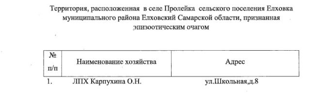 В 42 километрах от Самары ввели карантин из-за неизлечимого заболевания  Под ограничения попали еще три..