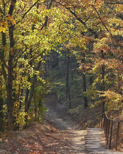 Нереально красивое осеннее утро в Абрау-Дюрсо😍🍂  Легкая дымка, озеро словно зеркало, а от ярко красных..