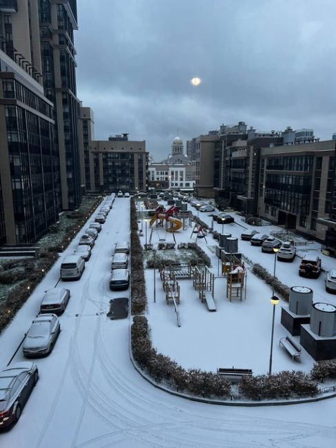 😍Ночной снегопад обрадовал петербуржцев сегодня утром..