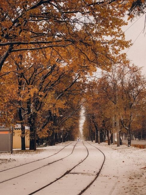 Снежное утро в Москве  Фото Инника..