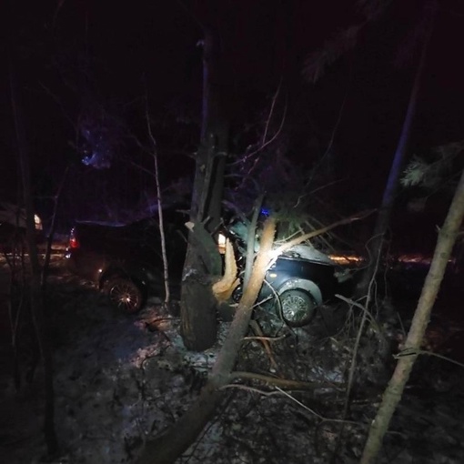 На трассе Озерск — Кыштым водитель авто врезался в дерево  Водитель легковушки не выбрал безопасную..