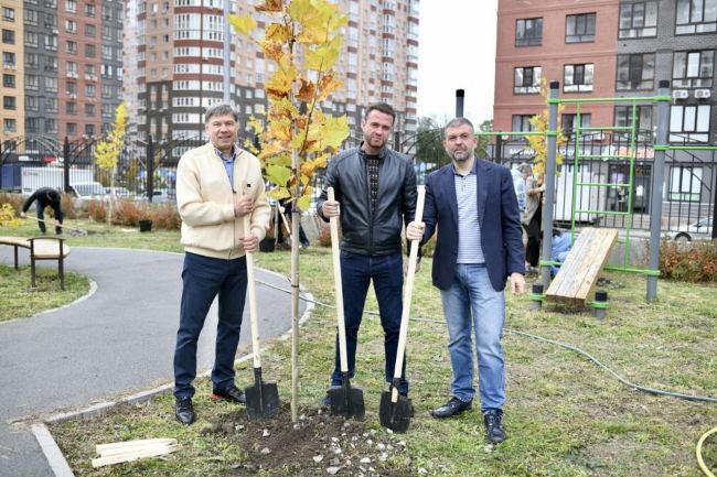 В школе и детских садах «Вересаево» (https://vk.com/mkrveresaevo) высадили платановые аллеи🍁  В рамках общегородского..